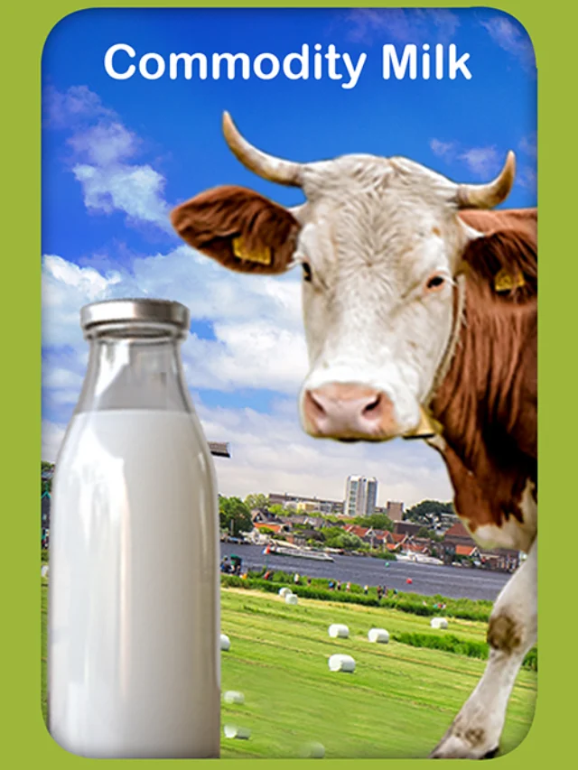 Commodity Milk: Unveiling the Dairy Industry